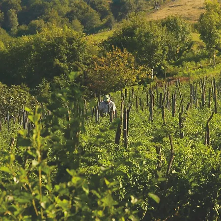 Hotel Iturregi Getaria